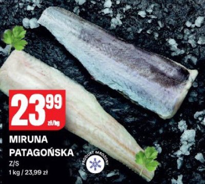 Miruna patagońska z/s promocja w Chorten