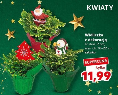Widliczka z dekoracją promocja w Kaufland