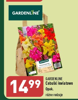 Cebulki kwiatowe GARDEN LINE promocja