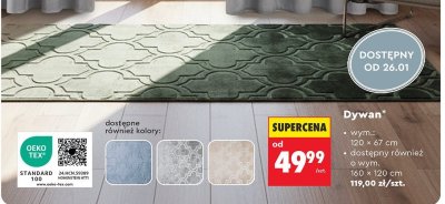 Dywan promocja w Biedronka