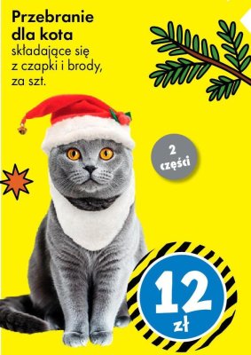 Przebranie dla kota składające się z czapki i brody promocja w Tedi