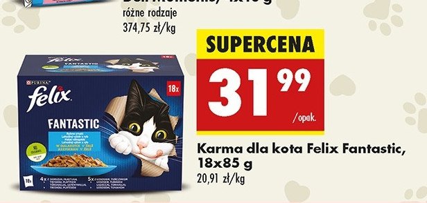 Karma dla kota rybne smaki Purina felix fantastic promocja w Biedronka