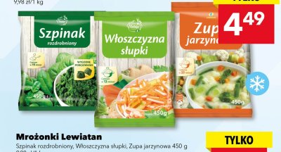 Włoszczyzna słupki Lewiatan promocja w LEWIATAN