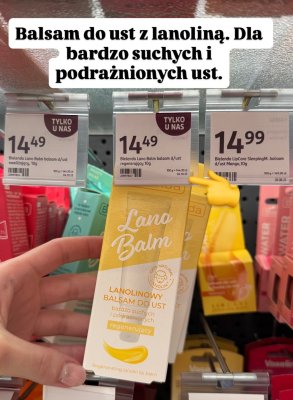 Balsam do ust regenerujący z lanoliną promocja w Rossmann