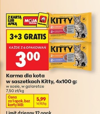 Karma dla kota w saszetkach 4x100 g w sosie promocja w Biedronka