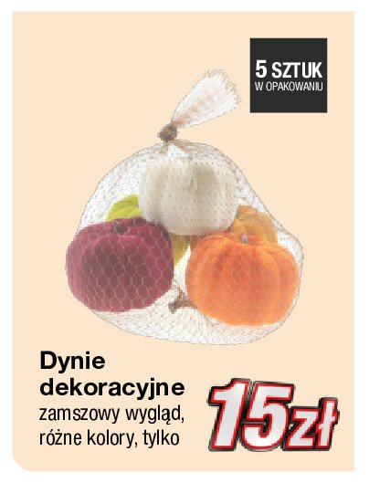 Dynie dekoracyjne promocja