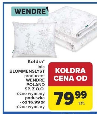 Kołdra BLOMMENSLYST, linia producent WENDRE POLAND SP. Z O.O., różne wymiary i kolory, od 16,99 zł różne wymiary promocja w Carrefour
