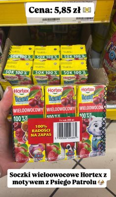 Sok wieloowocowy Hortex Leon i Przyjaciele 100% 200ml promocja w Dino