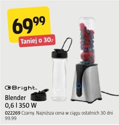 Blender Bright 0,6 l 350 W promocja w Jula