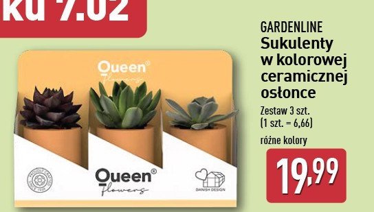 Sukulenty w ceramicznej osłonie GARDEN LINE promocja