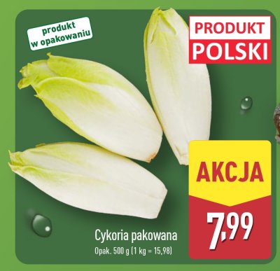 Cykoria pakowana promocja w Aldi