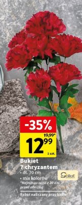 Bukiet 7 chryzantem 70 cm mix kolorów promocja w Intermarche