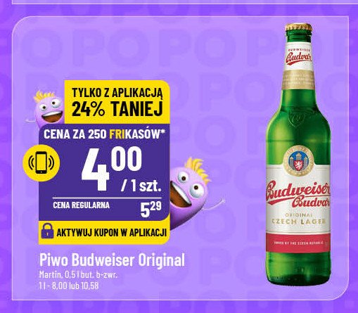 Piwo Budweiser promocja w POLOmarket