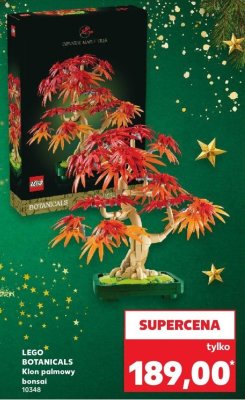 LEGO BOTANICALS Klon palmowy bonsai 10348 promocja w Kaufland