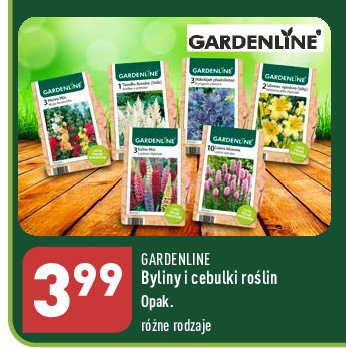 Cebulki roślin GARDEN LINE promocja