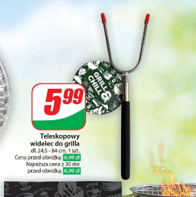 Widelec do grilla teleskopowy 24.5-80 cm promocja