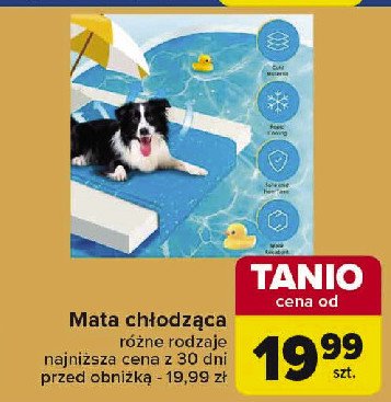 Mata ch艂odz膮ca dla psa promocja