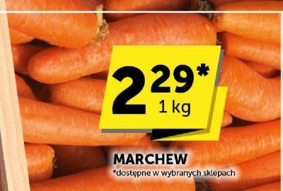 Marchewka młoda promocja w Groszek