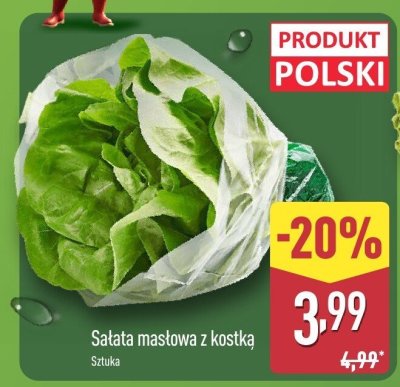 Sałata masłowa z kostką promocja w Aldi