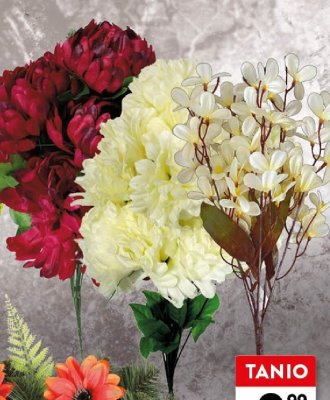 Bukiet mix rodzajów Gollat promocja w Intermarche