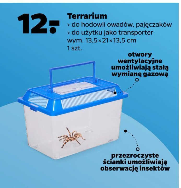 Terrarium promocja