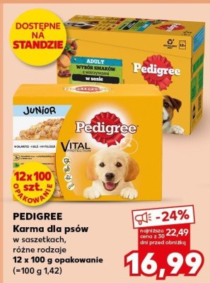 Karma dla psów w saszetkach Junior promocja w Kaufland