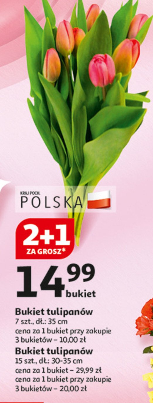 Bukiet tulipanów promocja w Auchan