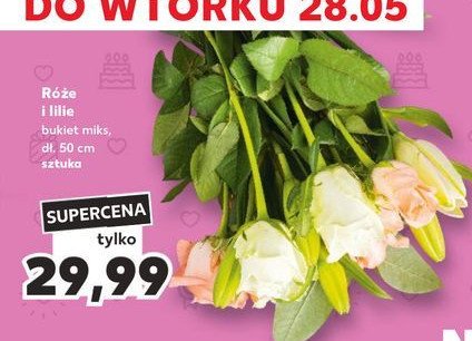 Róże i lilie promocja