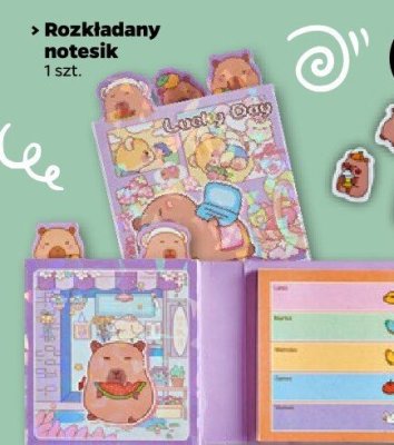 Rozkładany notesik promocja w Netto