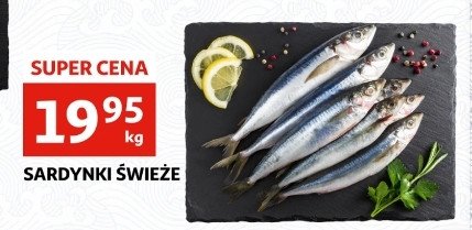 Sardynki świeże promocja