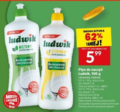 Płyn do naczyń Ludwik promocja w Twój Market