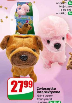 Zwierzątko interaktywne różne wzory promocja w Dino