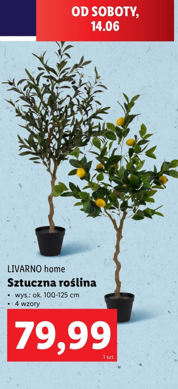 Roślina sztuczna w doniczce LIVARNO HOME promocja w Lidl