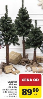 Choinka zielona na pniu Carrefour promocja w Carrefour