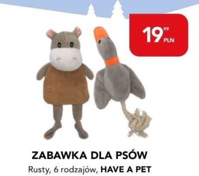 Zabawka dla psów Rusty promocja w Aquael zoo