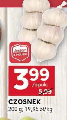 Czosnek - młynek Kotanyi promocja w Stokrotka