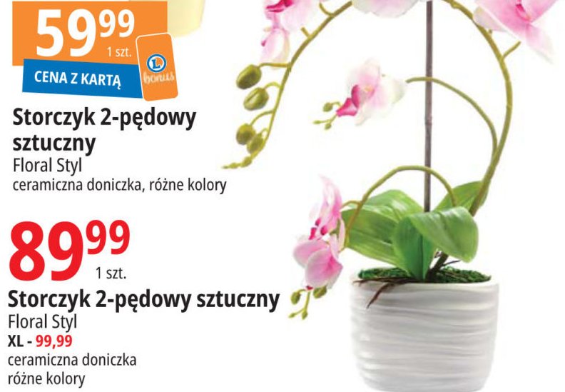 Storczyk 2-pędowy Floral styl promocja