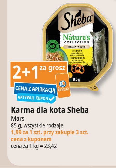 Karma dla kota w sosie z kurczakiem promocja