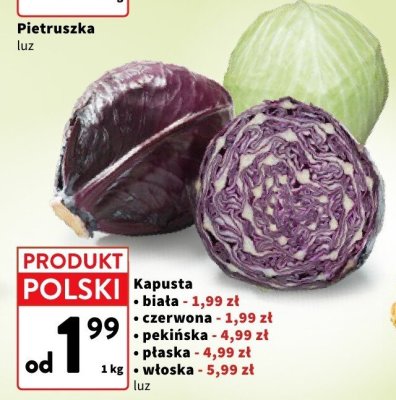 Kapusta biała promocja w Intermarche