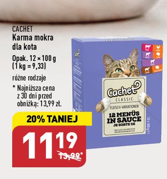 Karma dla kota mięso w galarecie Cachet promocja