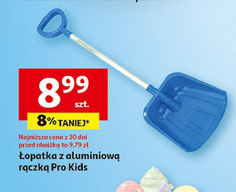 Łopatka z aluminiowym trzonkiem promocja w Auchan