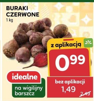 Buraki czerwone promocja w Stokrotka