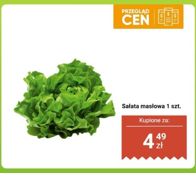 Sałata masłowa Biedronka promocja w Biedronka