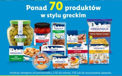 Katalog, strona 46 promocja w Lidl