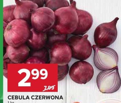 Cebula czerwona promocja w Stokrotka