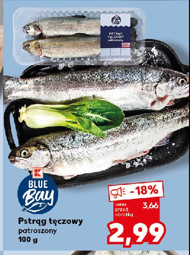 Pstrąg tęczowy patroszony K-classic blue bay promocja