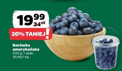 Borówka amerykańska 500 g promocja w Netto