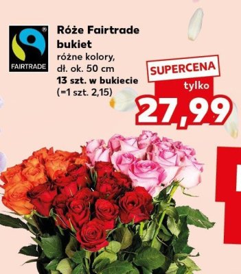 Róże Fairtrade bukiet 13 szt. promocja w Kaufland