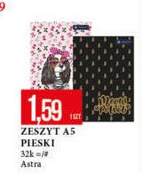 Zeszyt a5 32 k. kratka Astra promocja
