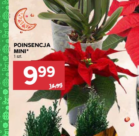 Poisencja mini promocja